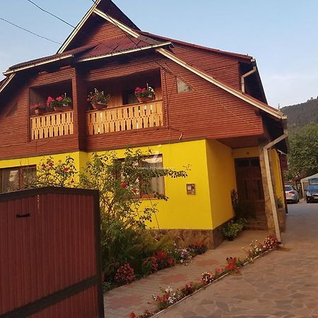 Camere De Inchiriat Floarea Reginei Вишово-Вижнє Екстер'єр фото