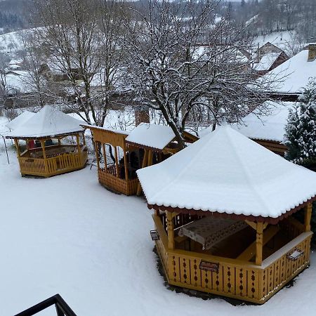 Camere De Inchiriat Floarea Reginei Вишово-Вижнє Екстер'єр фото