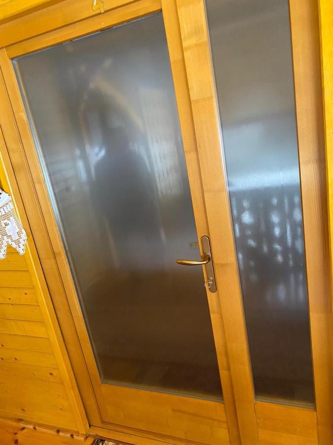 Camere De Inchiriat Floarea Reginei Вишово-Вижнє Екстер'єр фото