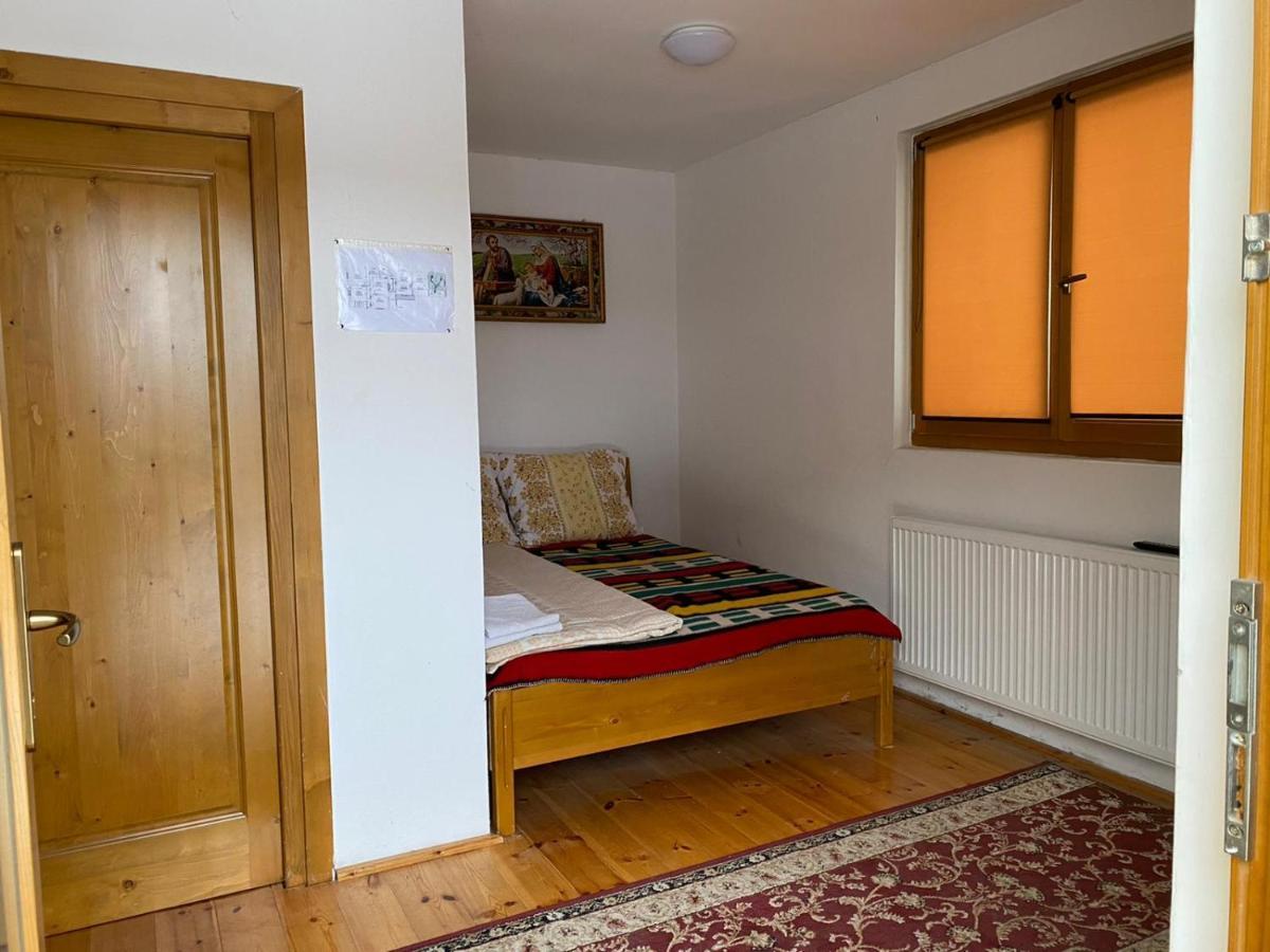 Camere De Inchiriat Floarea Reginei Вишово-Вижнє Екстер'єр фото