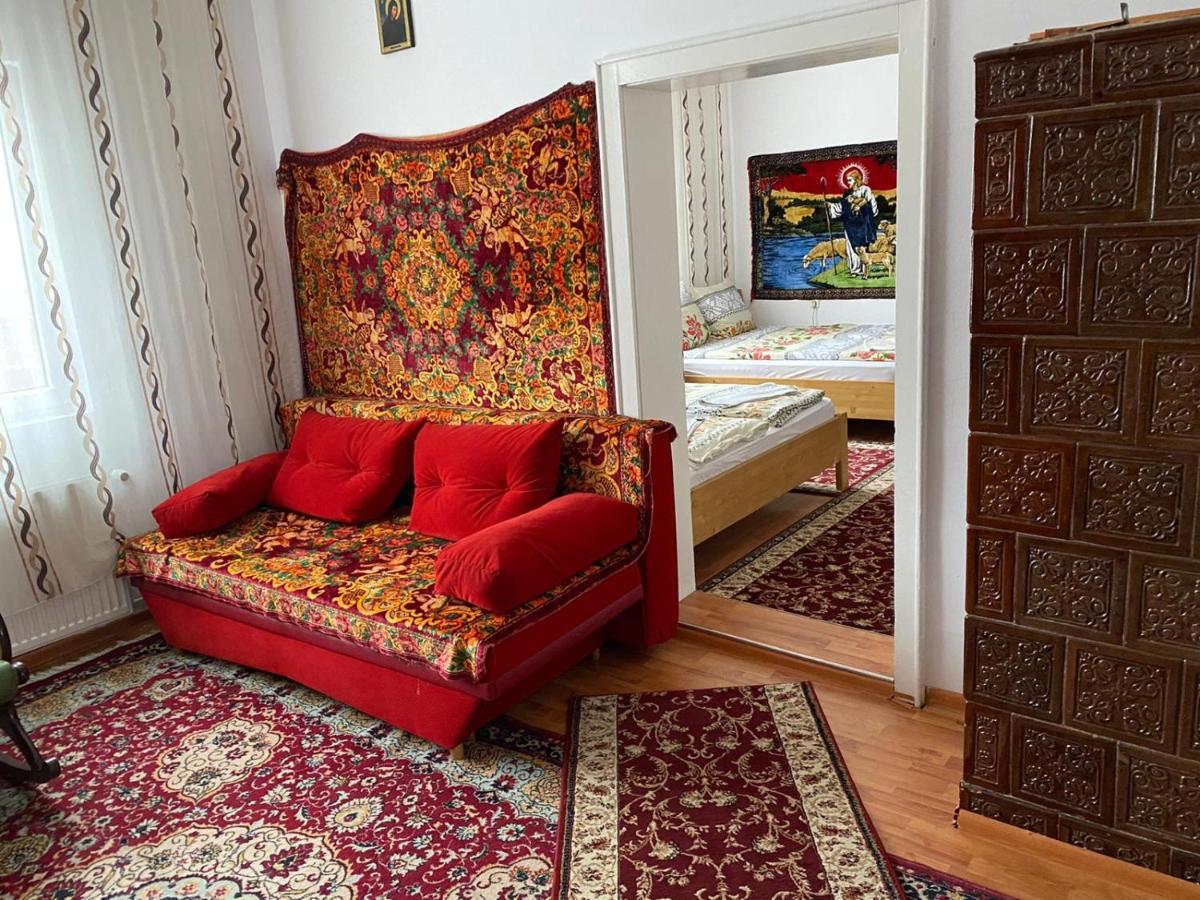 Camere De Inchiriat Floarea Reginei Вишово-Вижнє Екстер'єр фото