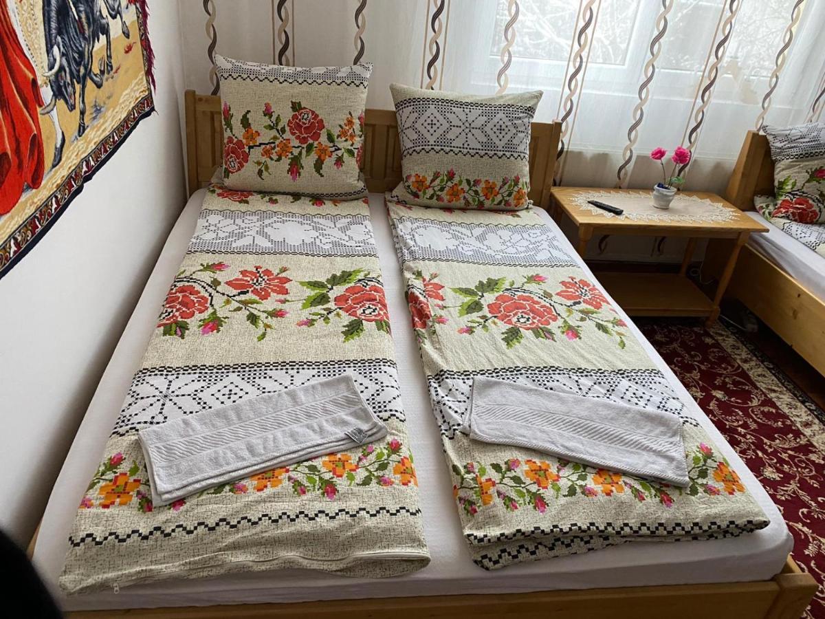 Camere De Inchiriat Floarea Reginei Вишово-Вижнє Екстер'єр фото