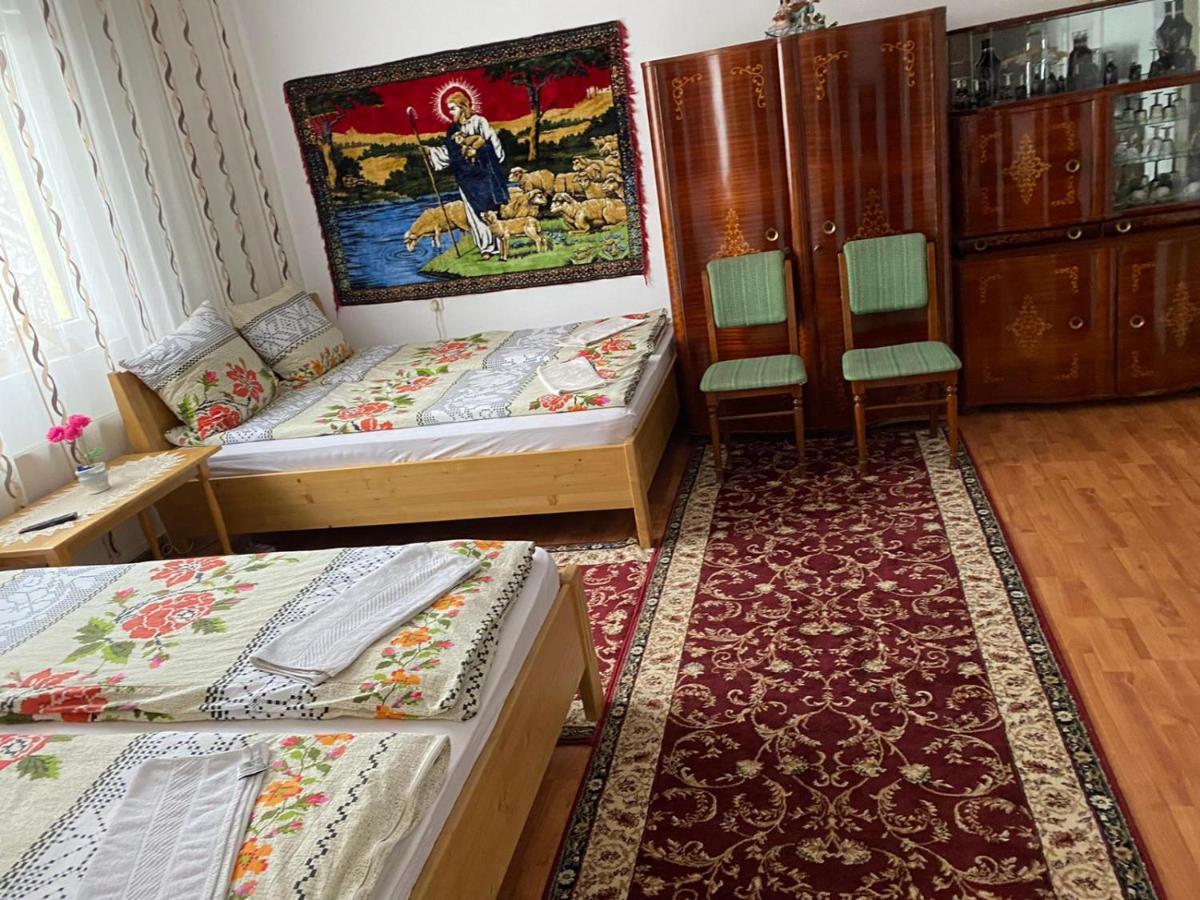 Camere De Inchiriat Floarea Reginei Вишово-Вижнє Екстер'єр фото
