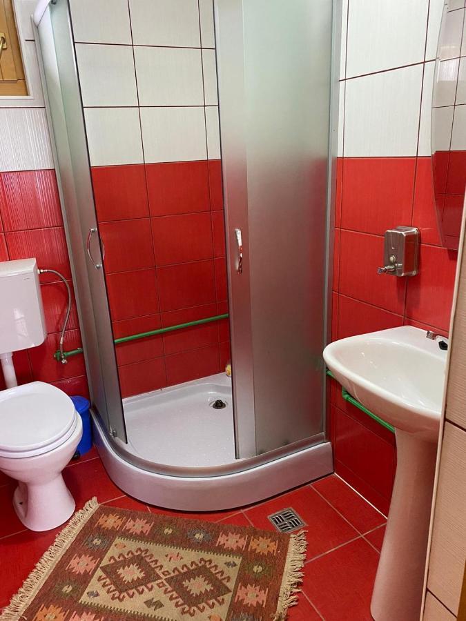 Camere De Inchiriat Floarea Reginei Вишово-Вижнє Екстер'єр фото