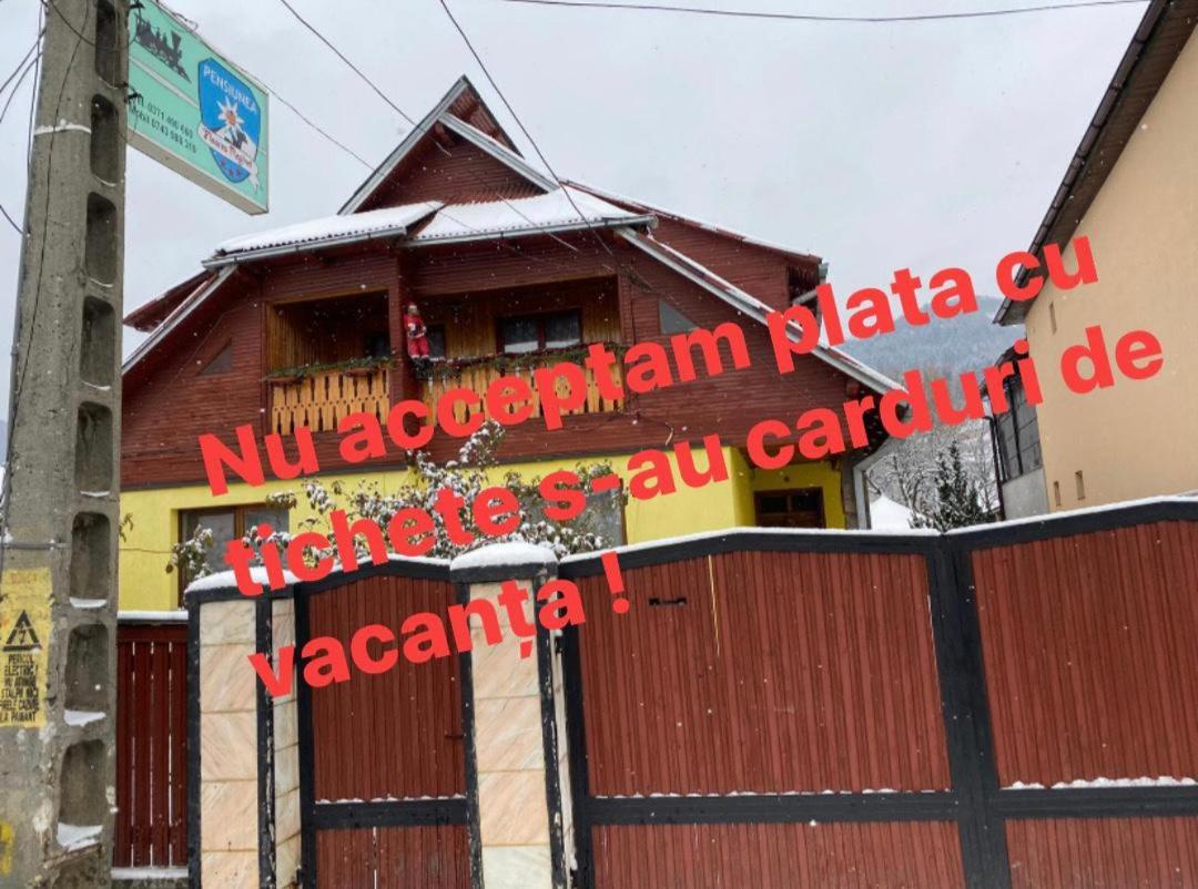 Camere De Inchiriat Floarea Reginei Вишово-Вижнє Екстер'єр фото