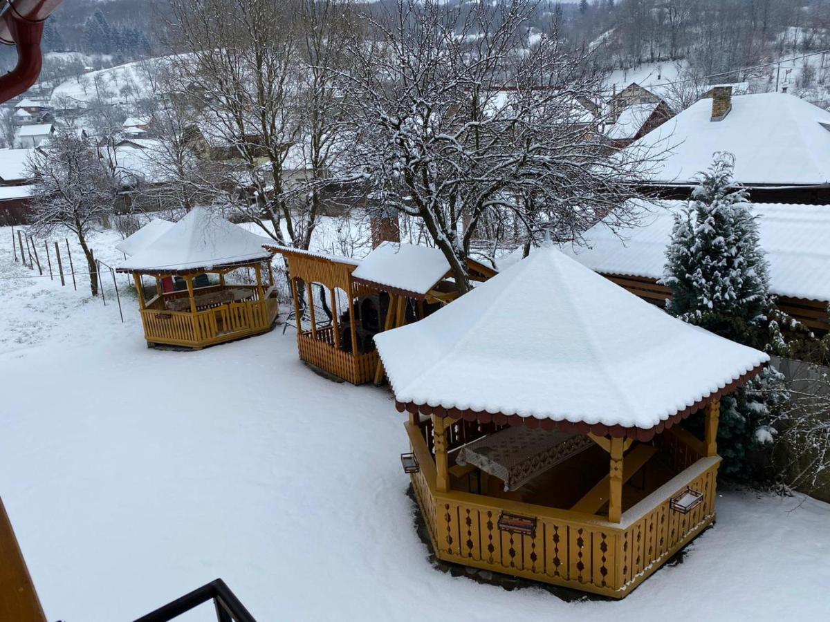 Camere De Inchiriat Floarea Reginei Вишово-Вижнє Екстер'єр фото