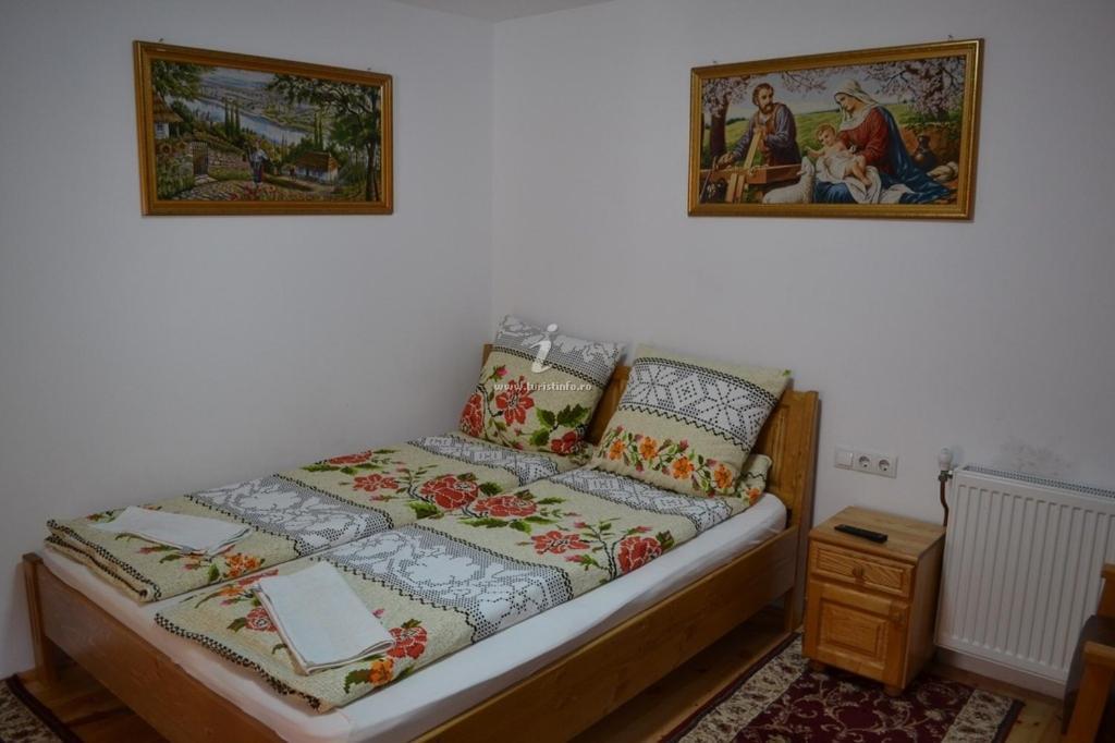 Camere De Inchiriat Floarea Reginei Вишово-Вижнє Екстер'єр фото